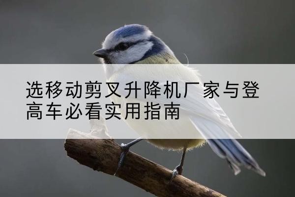 九江电动升降机厂家-选移动剪叉升降机厂家与登高车必看实用指南