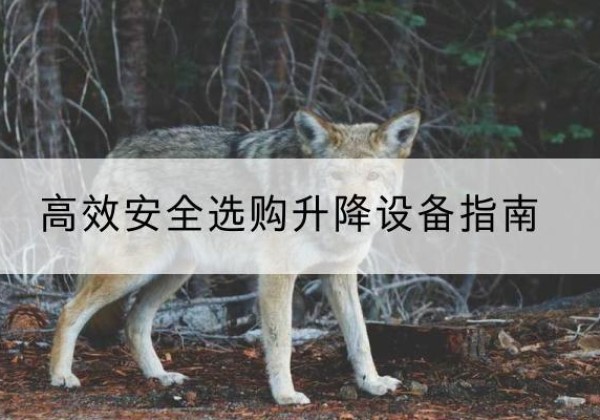 九江升降货梯厂家推荐-*安全选购升降设备指南