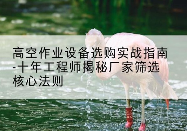 九江剪叉式升降机厂家-高空作业设备选购实战指南-十年工程师揭秘厂家筛选核心法则